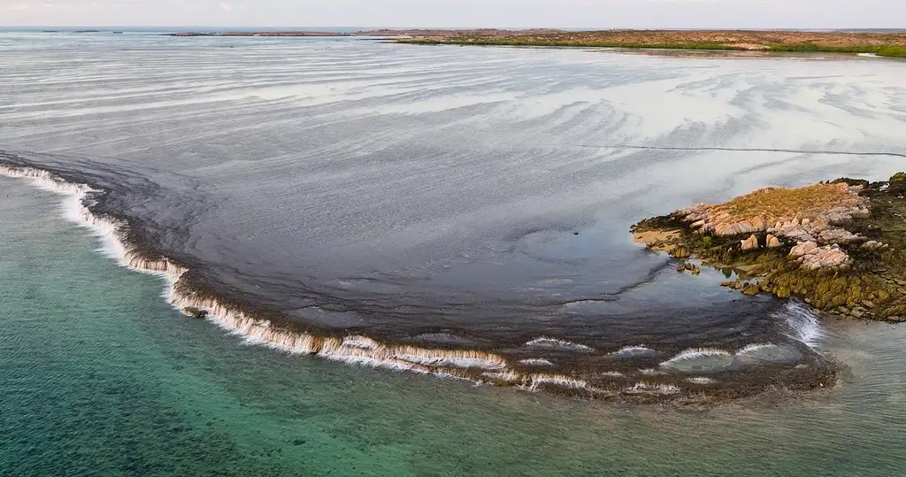 Waterfall Reef Sea Safari | From Cygnet Bay