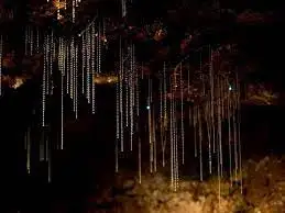 Explore Mt Tamborine Day Tour