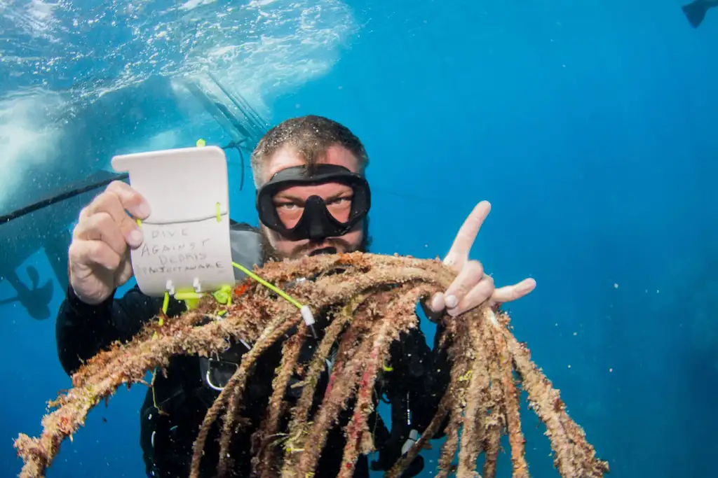 Full Day Outer Reef Tour + Be a Marine Bio Experience
