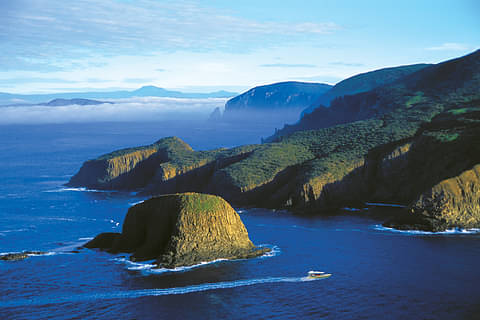 Wilderness Cruise From Bruny Island