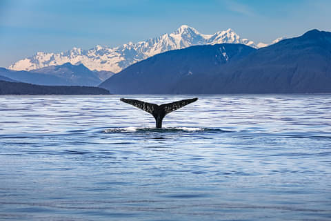 Kaikoura Day Trip From Christchurch Discount
