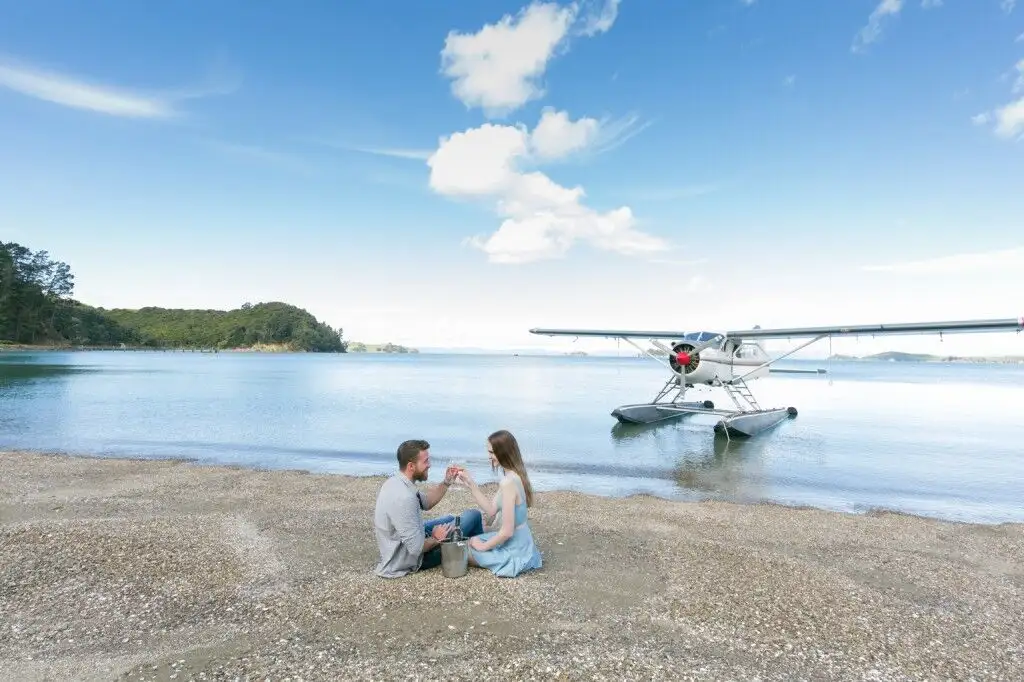 Auckland Island Hopping Scenic Flight