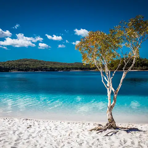 australia-lake-mckenzie-boorangoora.jpg