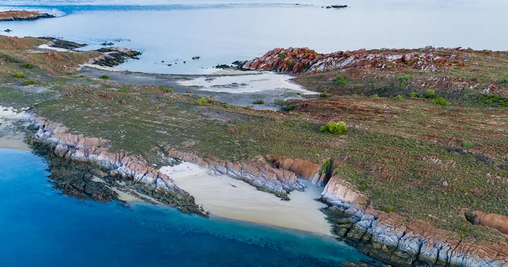 Island Explorer Sea Safari | From Cygnet Bay