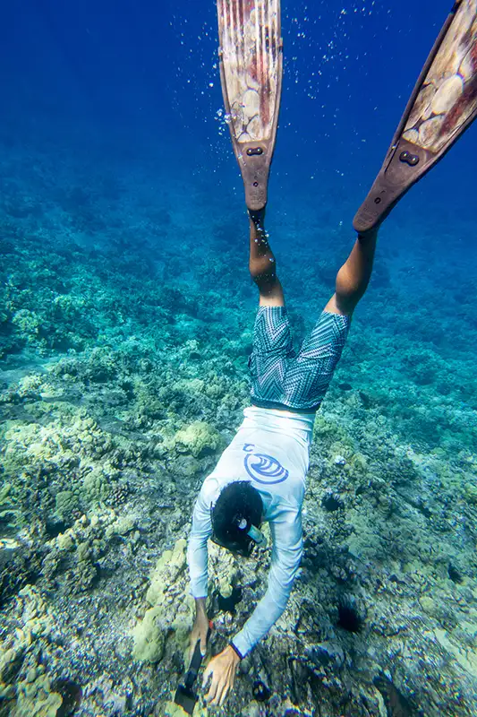 Molokini Crater & Turtle Cove Snorkel Tour