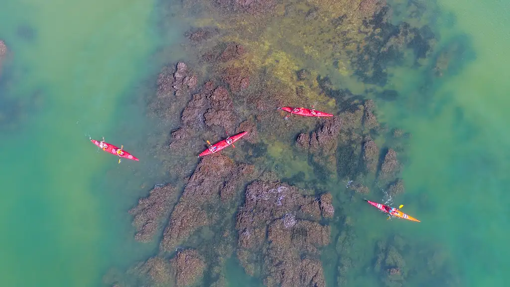 Waterfall Classic Kayak Tour