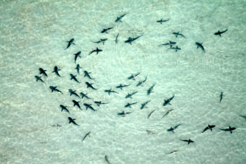 Exmouth Flights