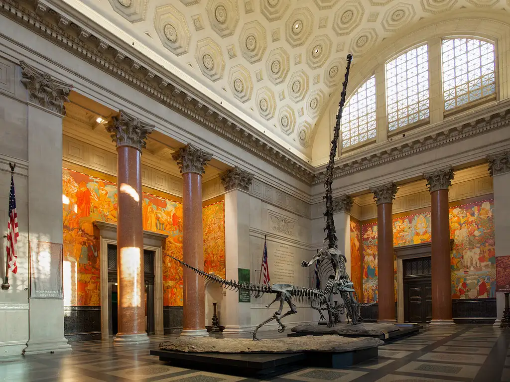 Go City NYC: Explorer Pass