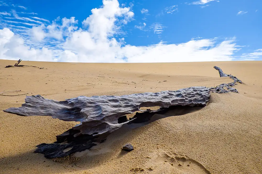 Dreamtime Fraser Island Camping 3 Days 2 Nights