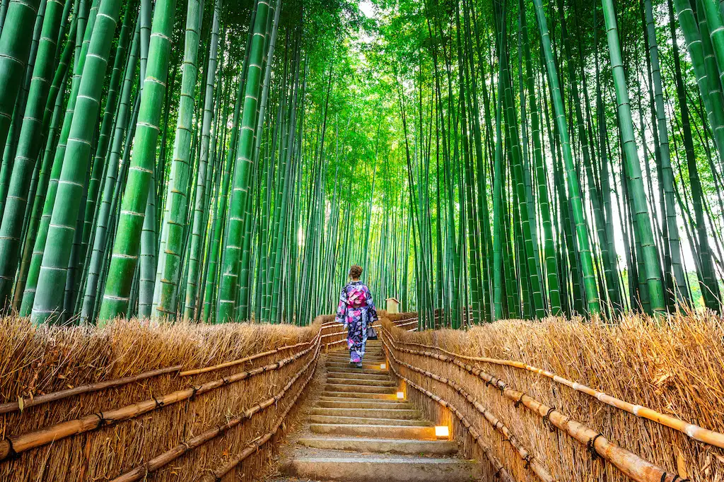 12 Day Legend of Japan Group Tour | TruTravels