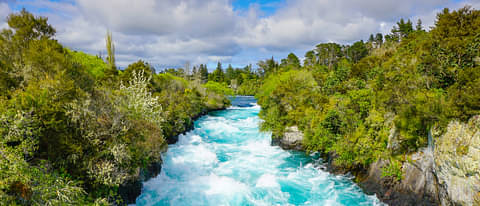 Taupo
