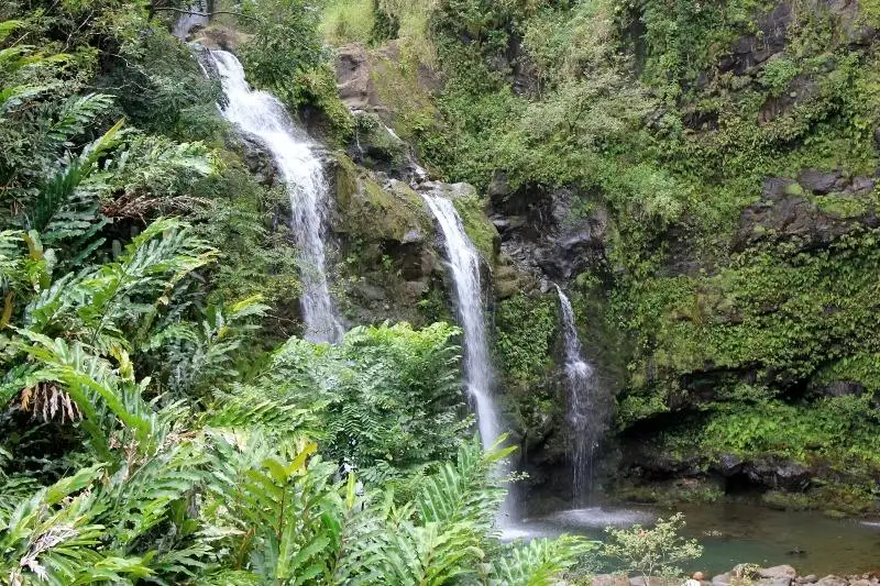 Hana Highway Loop Private Jeep Tour (min 2 people)