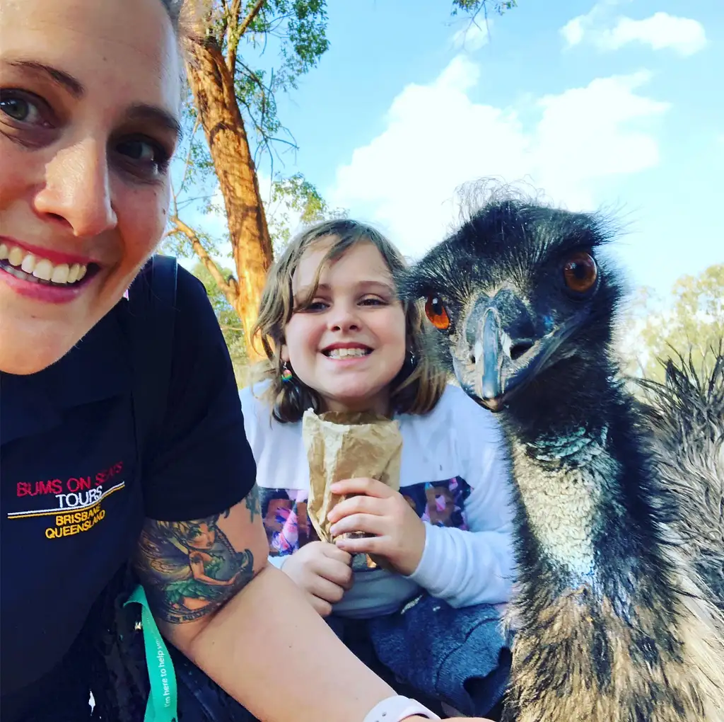 Brisbane Highlights Including Lone Pine