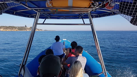 wildlife tours in Melbourne