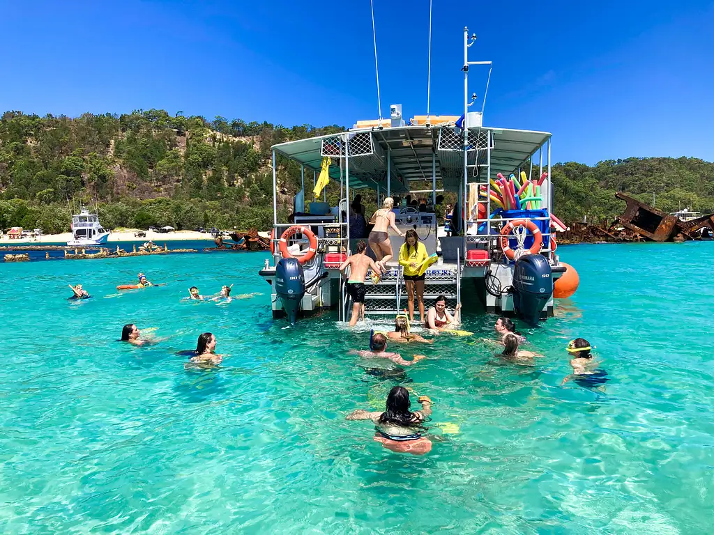 Moreton Island Dolphin & Tangalooma Wrecks Day Tour