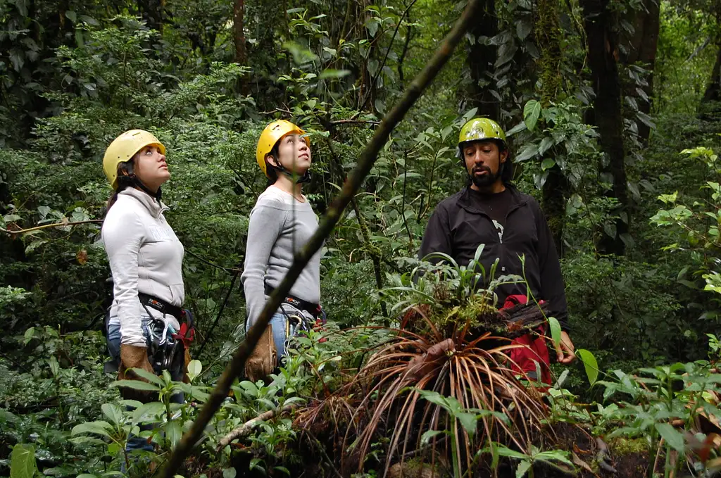 Canopy Adventure from San José