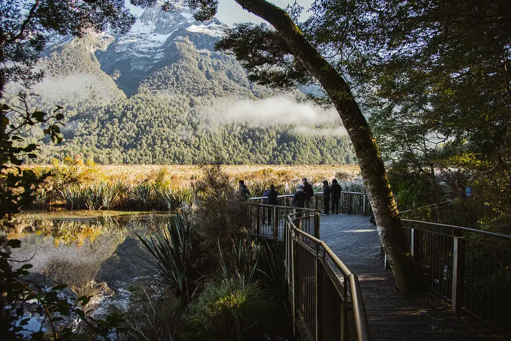 Milford Sound Glass Roof Scenic Tour with Cruise & Helicopter Flight