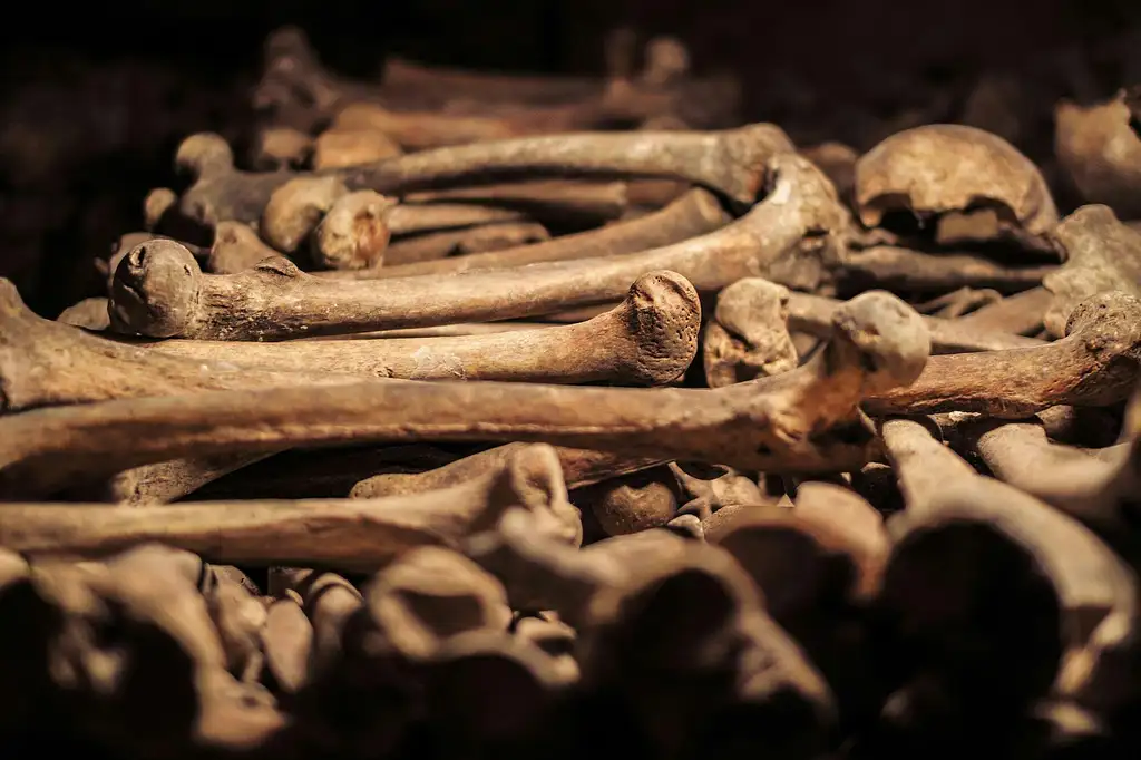 Paris Catacombs tour with access to secret rooms
