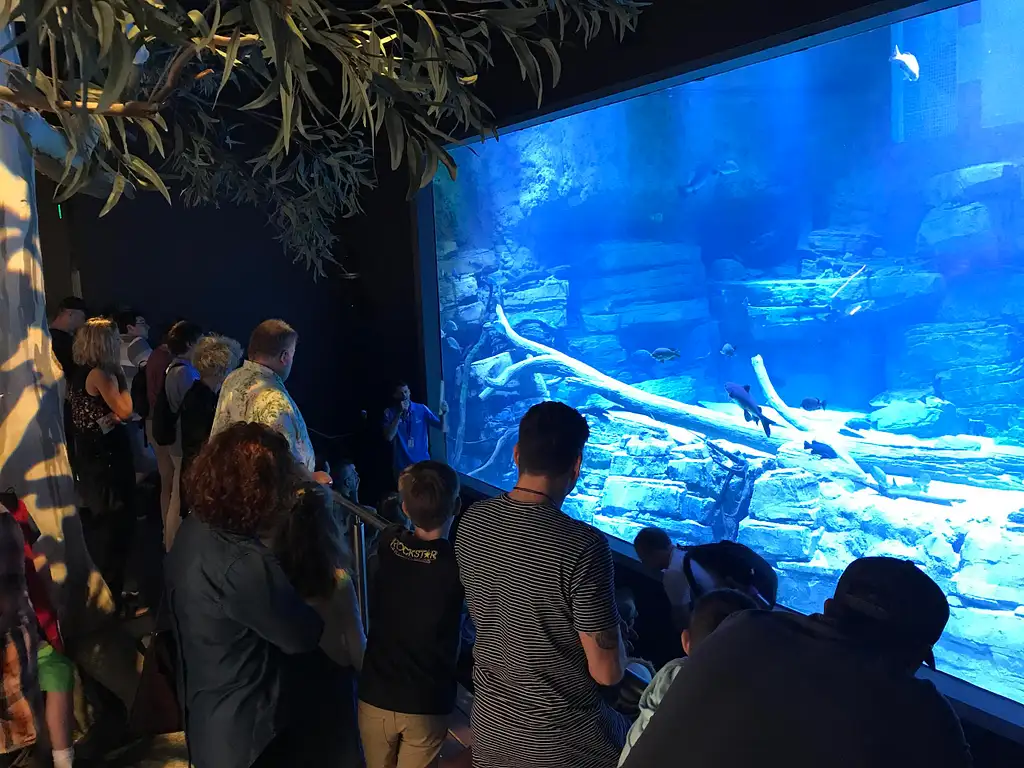 Cairns Aquarium & City Sights Tour