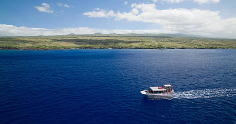 whale watching kawaihaw