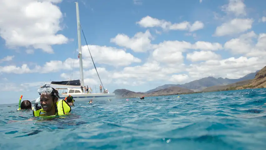 2 Hour Waikiki Morning Turtle Snorkel Tour