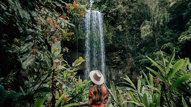 Waterfall Wanderers Day Tour