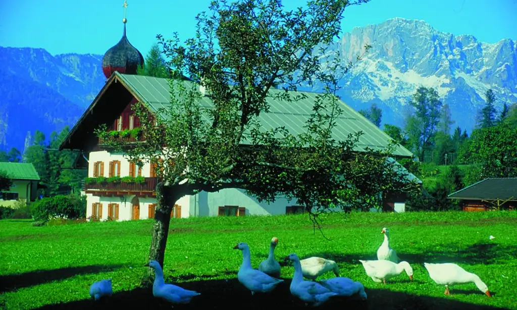 Salzburg and Lake District Day Tour | From Munich