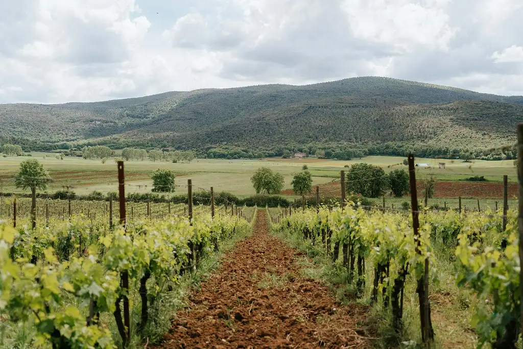 Tuscany Day Trip With Chianti, Siena And San Gimignano