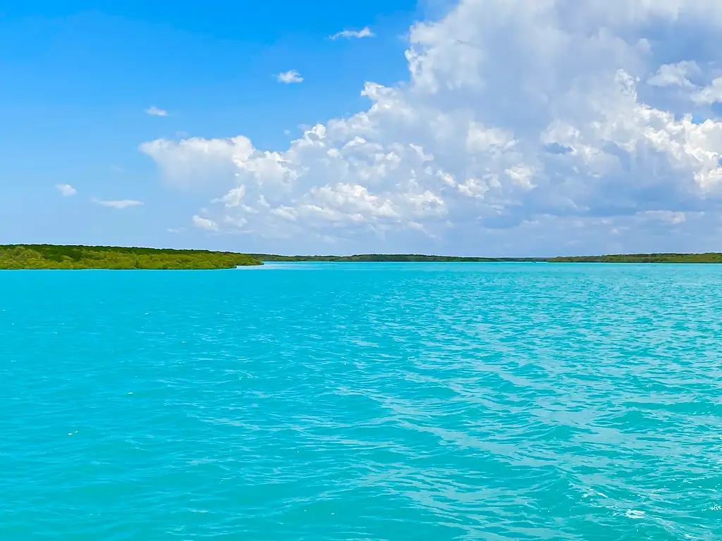 Scenic and Prehistoric Cruise