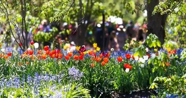 Canberra Floriade - Day Tour Departing Sydney