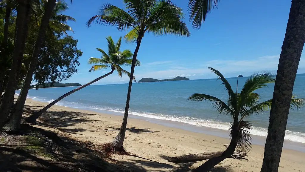 Cairns Aquarium & City Sights Tour