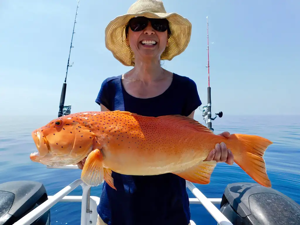 Airlie Beach Fishing - Half Day or Full Day Tour