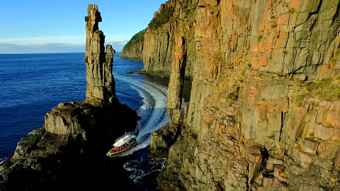 Wilderness Cruise From Bruny Island