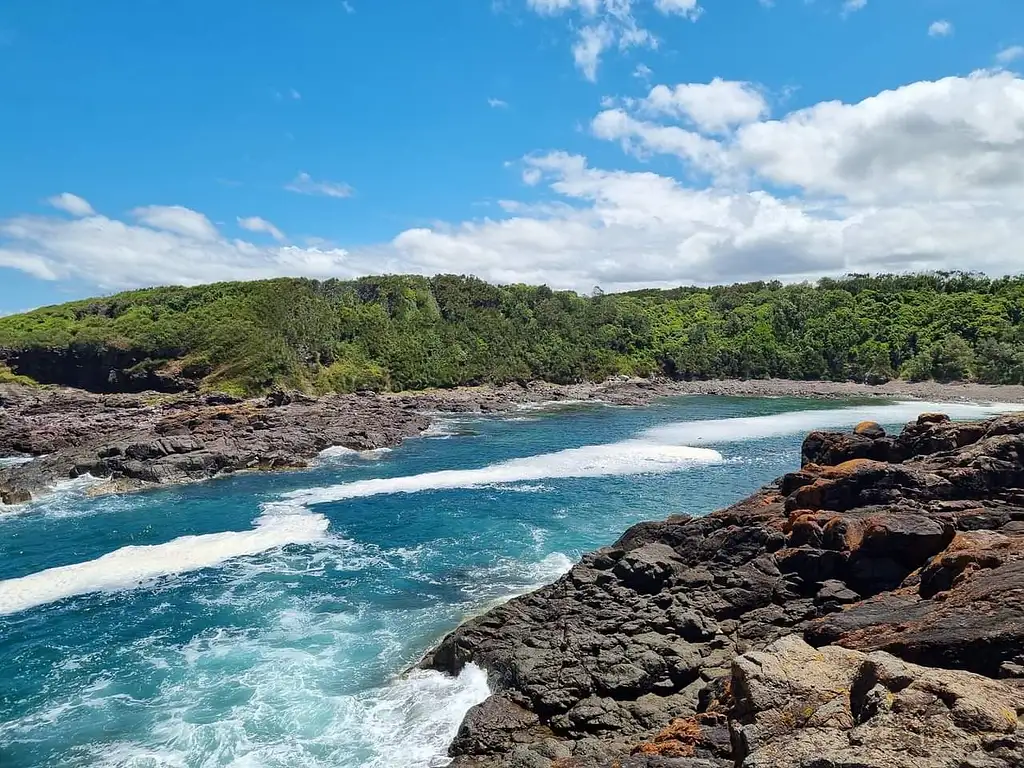 Shellharbour Whale Watching Cruise | From Shell Cove