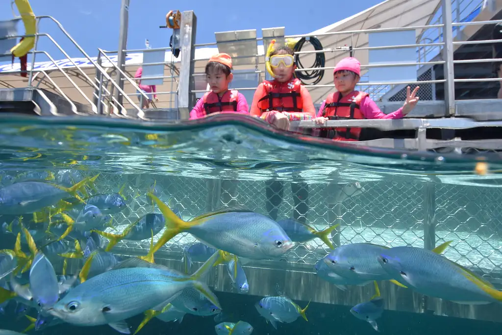 Moore Reef & Fitzroy Island | Reef & Island in a Day Tour