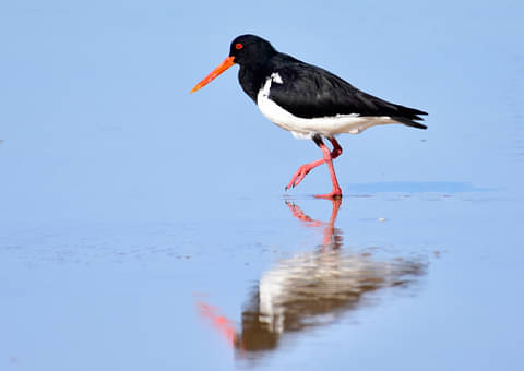 4WD Fraser Island Tour Discount