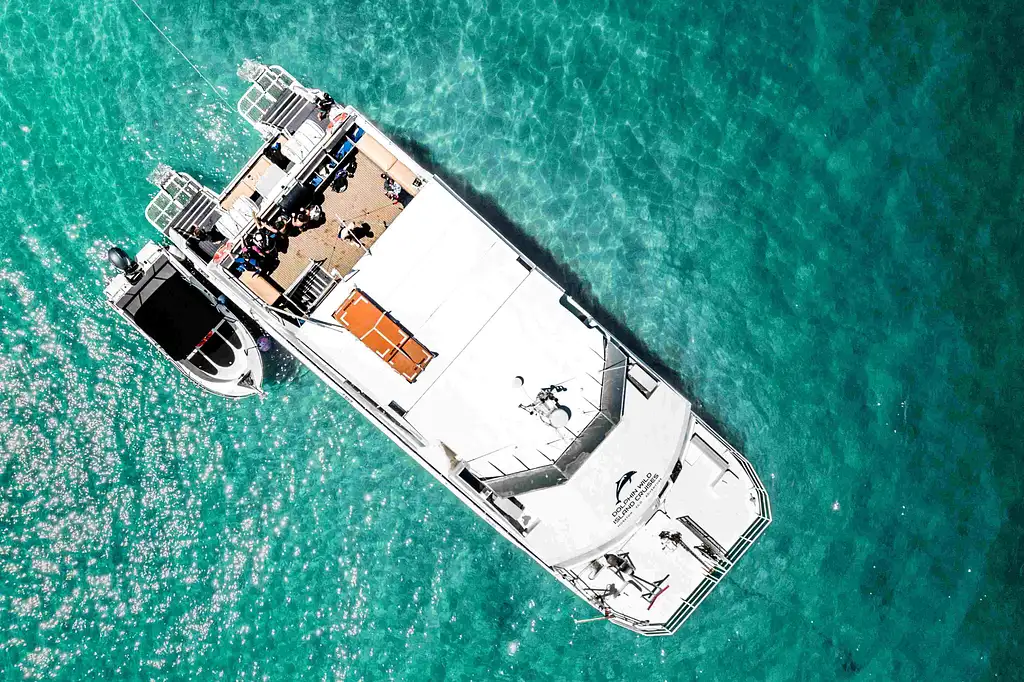 Moreton Island Day Cruise & Eco Marine Safari