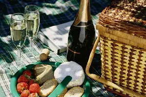 Helicopter Picnic Among the Vines