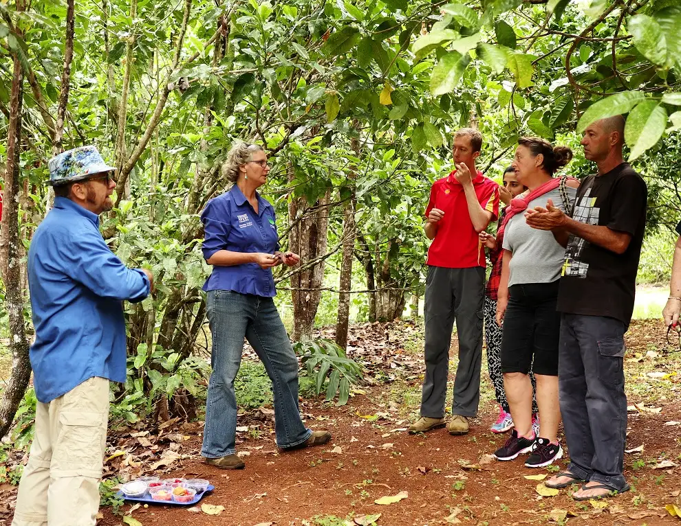 Cairns Tablelands Tasting Tour with lunch