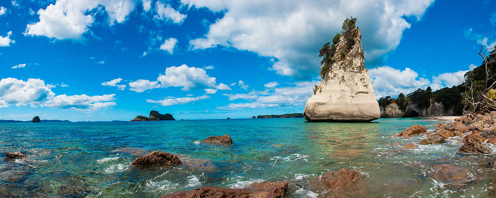 Tours-and-Things-to-do-in-Whitianga