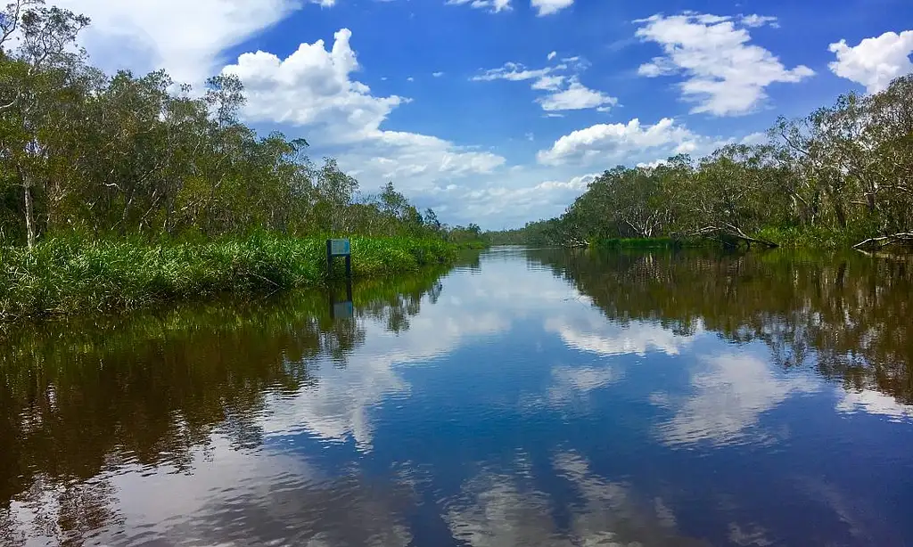 Noosa Everglades Cruise & Highlights with Lunch | Private Tour