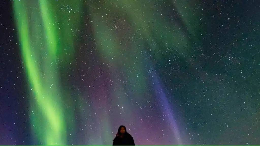 Blue Lagoon Admission and Northern Lights Guided Tour in Reykjavik
