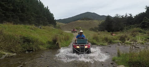 Nelson Quad Bike Farm Forest Tour