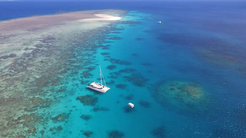 Outer Reef Mackay Cay Cruise