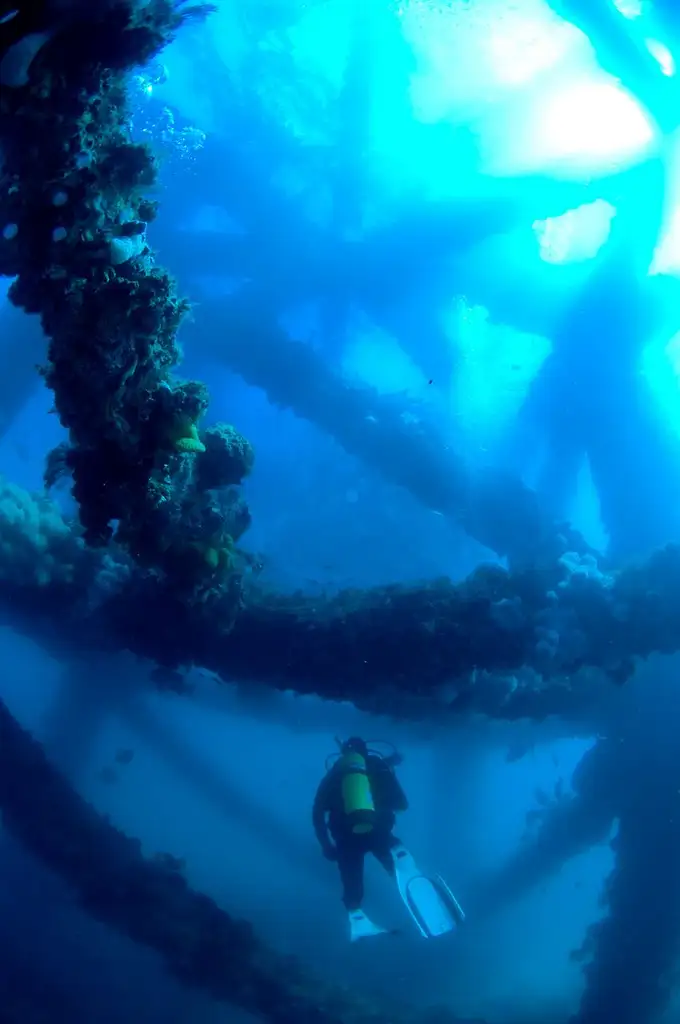 Exmouth Navy Pier Dive | Certified Divers only