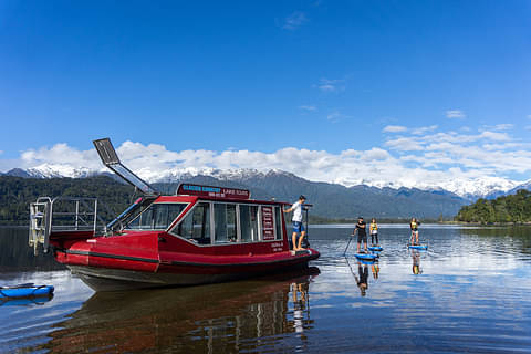Boat & SUP the Kiwi Sanctuary