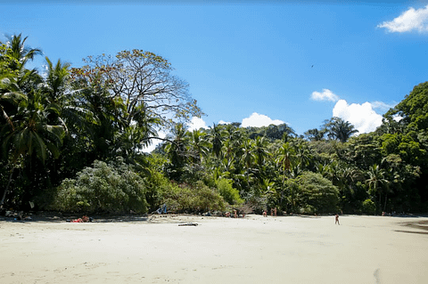 manuel-antonio-beach