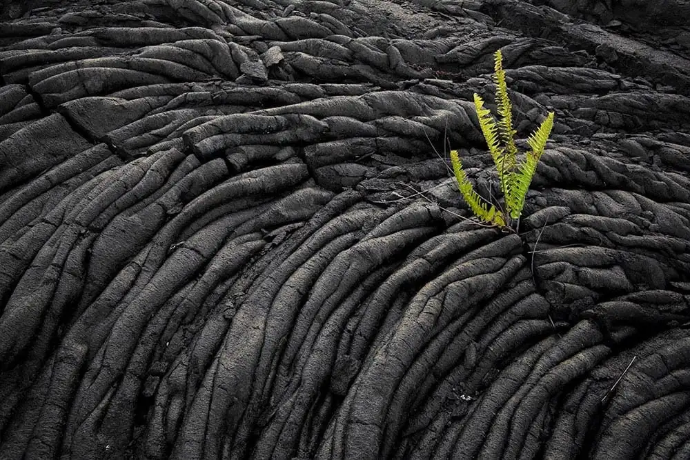 Big Island Volcano Adventure Tour | From Hilo