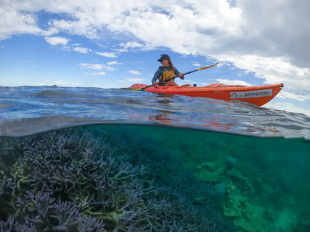 Coral By Kayak | Exmouth