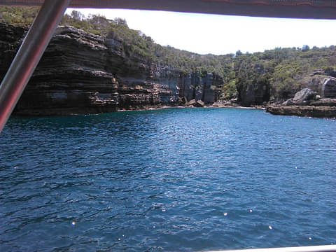 jervis bay dolphin watch cruise